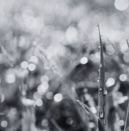 The Risk of Living Longer