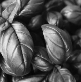 The Risk of Living Longer